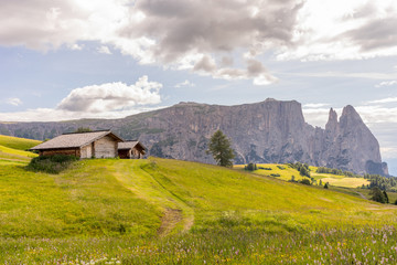 Italy, Alpe di Siusi, Seiser Alm with Sassolungo Langkofel Dolomite, an old barn in a field © SkandaRamana