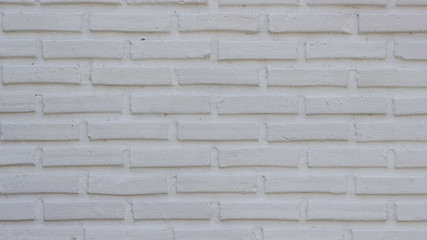 The white wall background