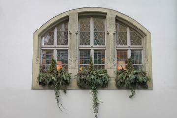 Holiday Windows in Regensburg, Germany