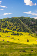 Obraz premium Alpe di Siusi, Seiser Alm with Sassolungo Langkofel Dolomite, a close up of a lush green field in a valley canyon