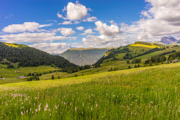 Alpe di Siusi, Seiser Alm with Sassolungo Langkofel Dolomite, a large green field with a mountain...