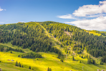 Obraz premium Alpe di Siusi, Seiser Alm with Sassolungo Langkofel Dolomite, a close up of a lush green field in a valley canyon