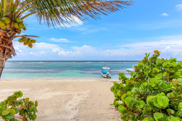Tropical Beach in the Caribbean