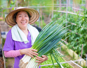 female Senior farmer with vegetables