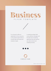 Corporate brochure and poster template