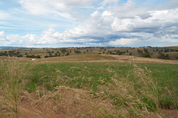 Australian countryside landscape of fields and grass