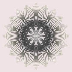 Modern Decorative Cicle Shapes. Floral Mandala. Vector Illustration. White grey color.