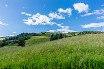 Alpe di Siusi, Seiser Alm with Sassolungo Langkofel Dolomite, a close up of a lush green field