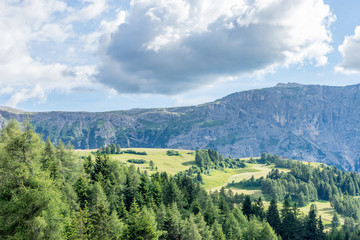 Fototapeta na wymiar Alpe di Siusi, Seiser Alm with Sassolungo Langkofel Dolomite, a tree with a mountain in the background