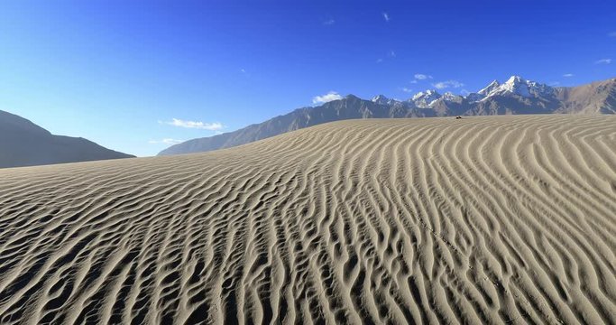Sand dunes desert in Ladakh, India, Himalaya mountains. High altitude unique environment and nature attracts tourist from around the world traveling to see exotic beauty of country northern region