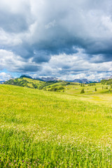 Alpe di Siusi, Seiser Alm with Sassolungo Langkofel Dolomite, a large green field under a cloudy blue sky