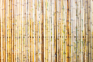Brown bamboo fence, Bamboo wall background