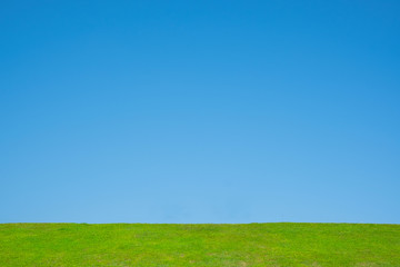clear sky with green grass background.