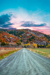 Gatineau Park forest in fall 