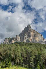 Obraz premium Alpe di Siusi, Seiser Alm with Sassolungo Langkofel Dolomite, a tree with a mountain in the background