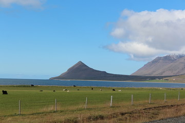 Fototapeta premium iceland