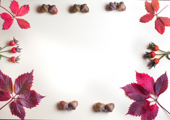 Autumnal autumn frame of fallen leaves and chestnuts on a white background.