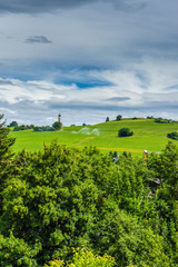 Fototapeta premium Alpe di Siusi, Seiser Alm with Sassolungo Langkofel Dolomite, a herd of cattle grazing on a lush green field