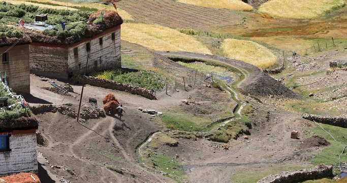 Rural countryside of indian Himalayas, travel to remote destinations of India north country parts