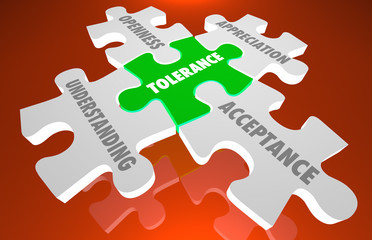 Tolerance Acceptance Oppenness Appreciation Puzzle Pieces 3d Illustration