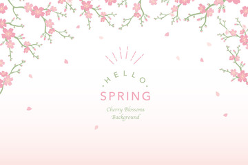 桜　背景イラスト