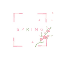 桜　背景イラスト