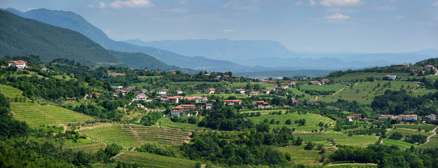 Panorama of vineyards in the green hills of Gorizia Brda at Snezatno from Smartno Slovenia and the Trnovo forest karst plateau - obrazy, fototapety, plakaty