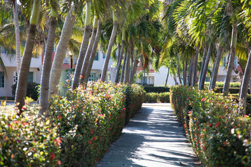 Obraz premium Cuba, Varadero