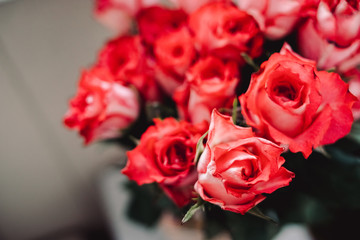 Floral background of blooming roses, Living coral color - color of the 2019 year, close-up. Big beautiful roses bouquet as gift for wedding, happy birthday, happy mother's day. Fresh blooming flowers.