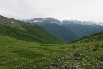Fototapeta na wymiar Mountain meadows scenic view. Altai Mountains, Russia