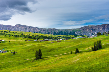 Alpe di Siusi, Seiser Alm with Sassolungo Langkofel Dolomite, a close up of a lush green field