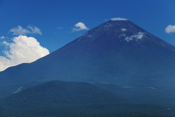 青木樹林越しの富士山の雄姿　パノラマ台より