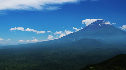 青木樹林越しの富士山の雄姿　パノラマ台より