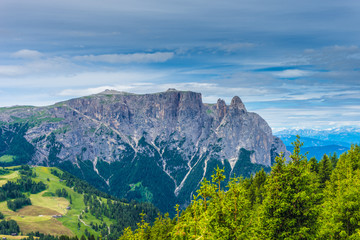 Alpe di Siusi, Seiser Alm with Sassolungo Langkofel Dolomite, a large mountain in the background