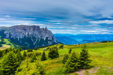 Alpe di Siusi, Seiser Alm with Sassolungo Langkofel Dolomite, a large green field with a mountain...