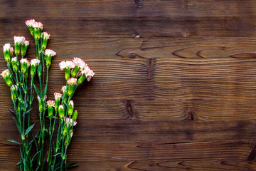 Obraz premium Delicate spring flowers. Small pink carnation on dark wooden background top view copy space