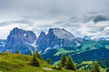 Fototapeta premium Alpe di Siusi, Seiser Alm z Sassolungo Langkofel Dolomit, duża góra w tle