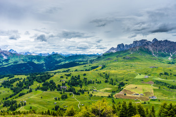Fototapeta premium Alpe di Siusi, Seiser Alm with Sassolungo Langkofel Dolomite, lush green field in Seiser Alm Puflatsch Bullaccia