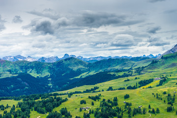 Alpe di Siusi, Seiser Alm with Sassolungo Langkofel Dolomite, lush green field in Seiser Alm Puflatsch Bullaccia