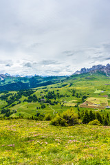 Alpe di Siusi, Seiser Alm with Sassolungo Langkofel Dolomite, a large green field with a mountain in the background