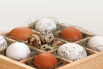 Easter. Easter eggs lie in a box, on a light background. Selective focus, toning, blur.