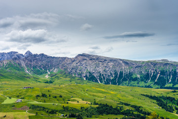 Obraz premium Alpe di Siusi, Seiser Alm with Sassolungo Langkofel Dolomite, lush green field in Seiser Alm Puflatsch Bullaccia