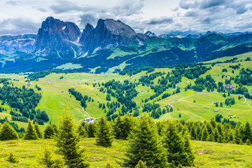 Fototapeta premium Alpe di Siusi, Seiser Alm with Sassolungo Langkofel Dolomite, lush green field in Seiser Alm Puflatsch Bullaccia