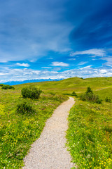 Alpe di Siusi, Seiser Alm with Sassolungo Langkofel Dolomite, a walking winding path in a lush green field