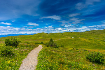 Obraz premium Alpe di Siusi, Seiser Alm with Sassolungo Langkofel Dolomite, a walking winding path in a lush green field