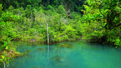 Emerald spring pool among tropical forest beside sea at Krabi province, The south of Thailand.