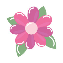 pink flower decoration