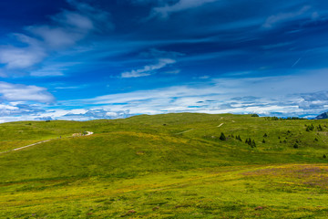 Obraz premium Alpe di Siusi, Seiser Alm with Sassolungo Langkofel Dolomite, a large green field with trees in the background