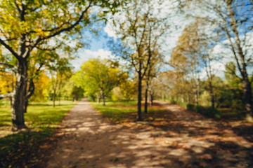 Blurred park, natural background