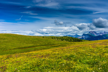 Alpe di Siusi, Seiser Alm with Sassolungo Langkofel Dolomite, a person standing on a lush green field